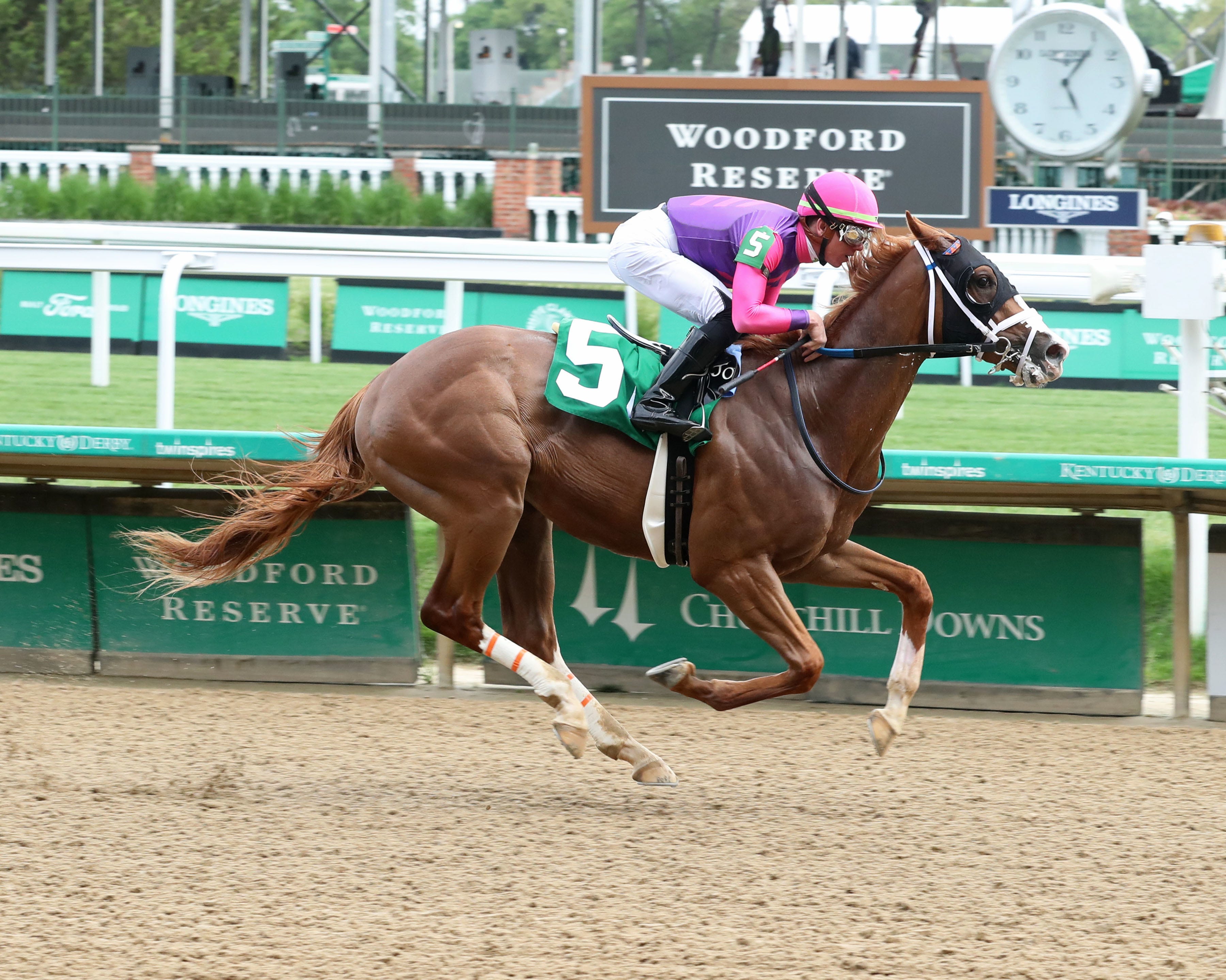 Giant Timonium Circular